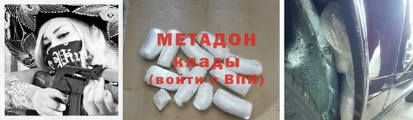 индика Алзамай