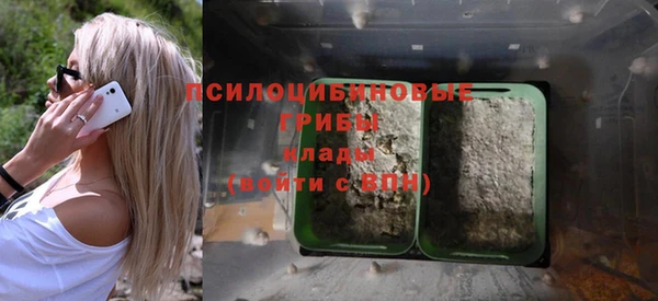 эйфоретик Алексин